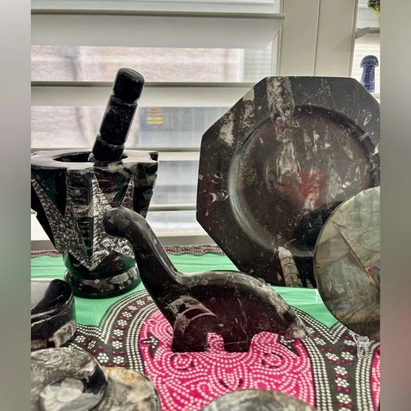 Orthoceras dinosaur - Picture 4 of 5